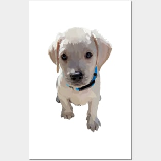 Lab Puppy 1 Posters and Art